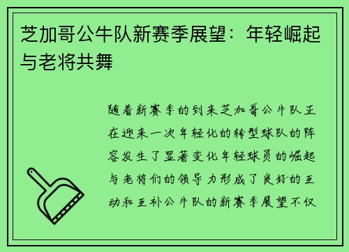 芝加哥公牛队新赛季展望：年轻崛起与老将共舞